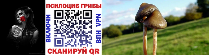 Купить закладки  Новопавловск  Галлюциногенные грибы мухоморы 